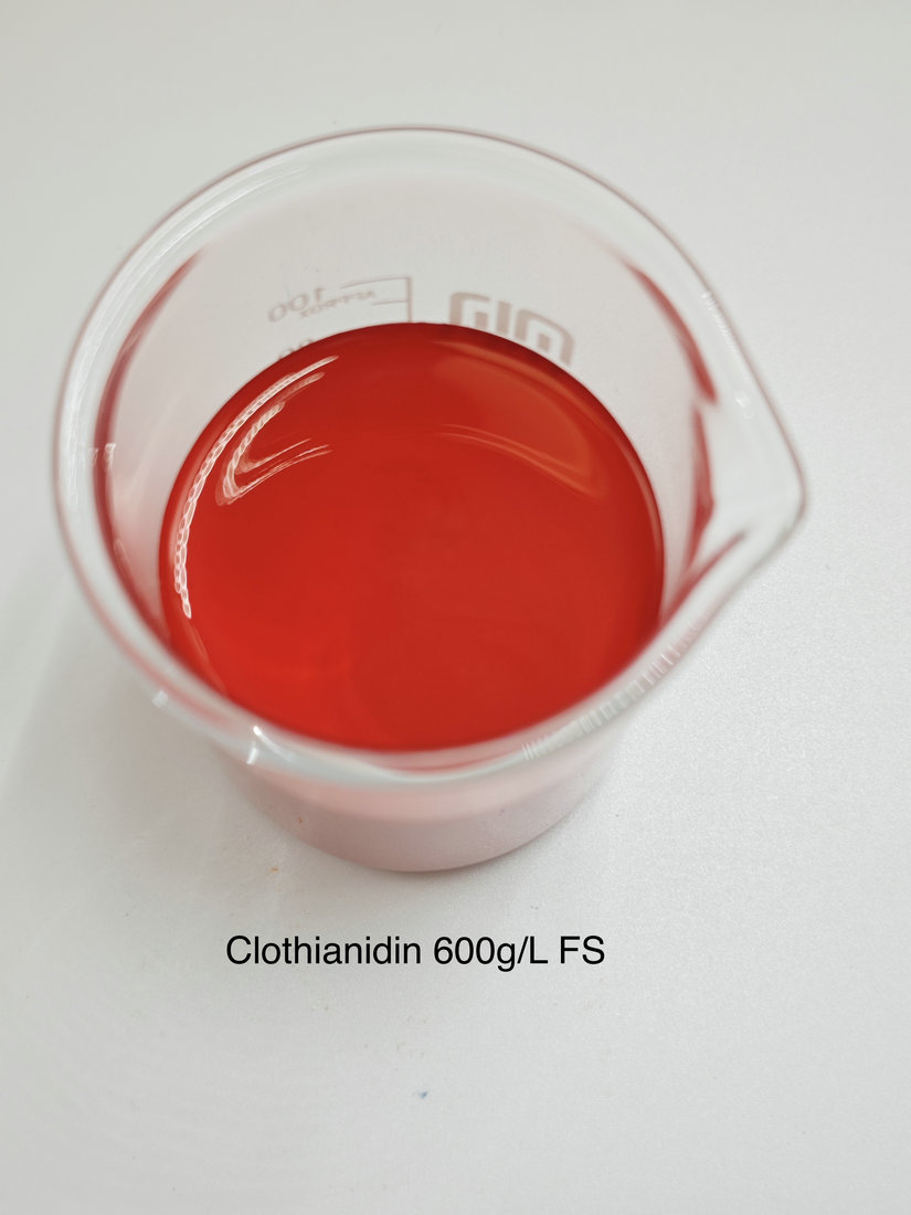 Clothianidin 600g/L FS